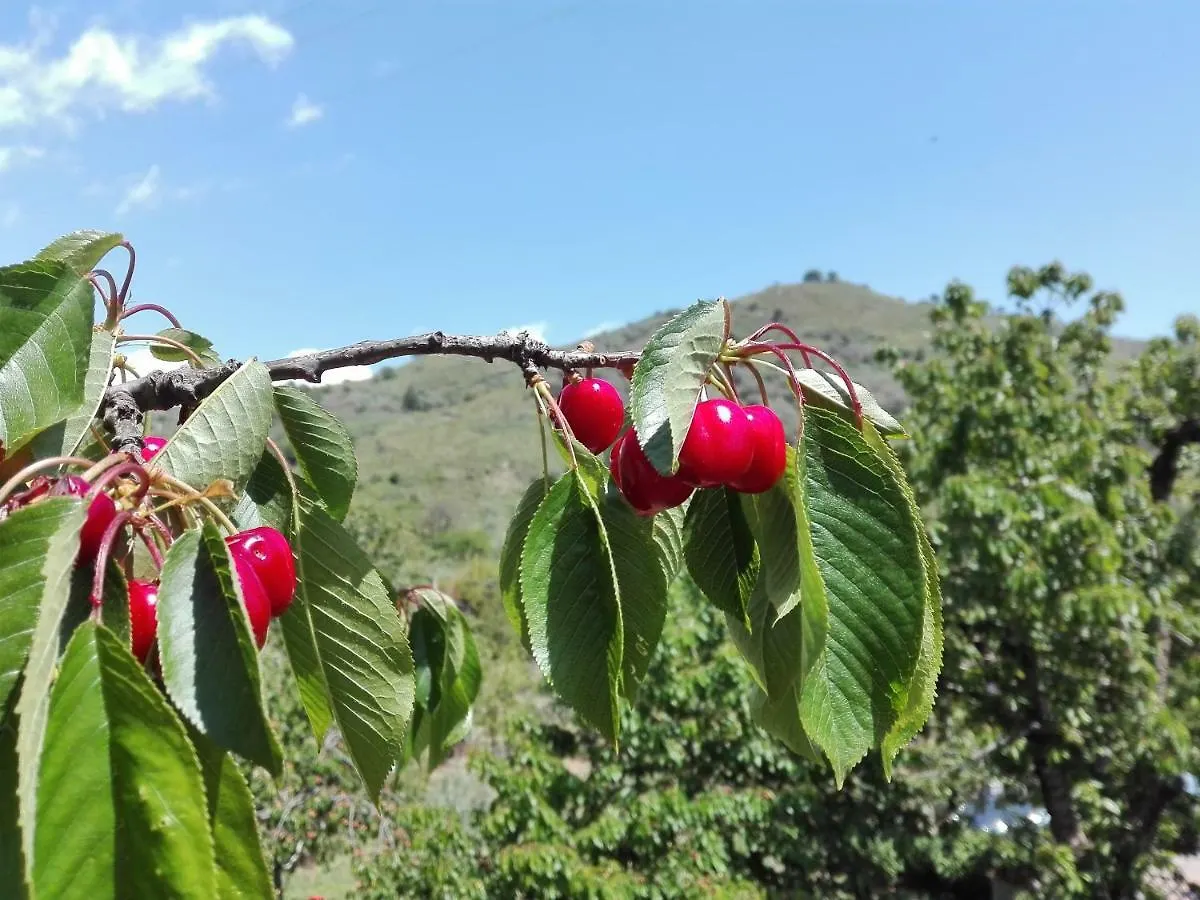 Villa La terra dei ciliegi tra l'Etna e il mare di Taormina Piedimonte Etneo 0*,